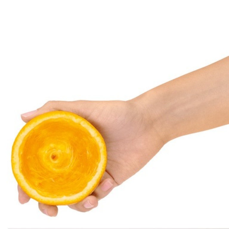 Use traces: Citrus Press Stainless Steel SCP600SIL
